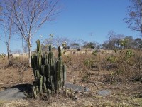 /album/carste-de-lagoa-santa/carste3-jpg/